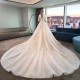 Wedding Dresses Illusion O-Neck Short Backless Sequined Beading Embroidery Tulle Lace Luxury Champagne Women Bridal Gown