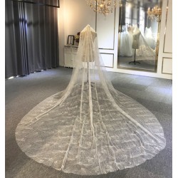 2019 Luxury Long lace veil wedding veil sparkling bridal veil 3*4 sizes